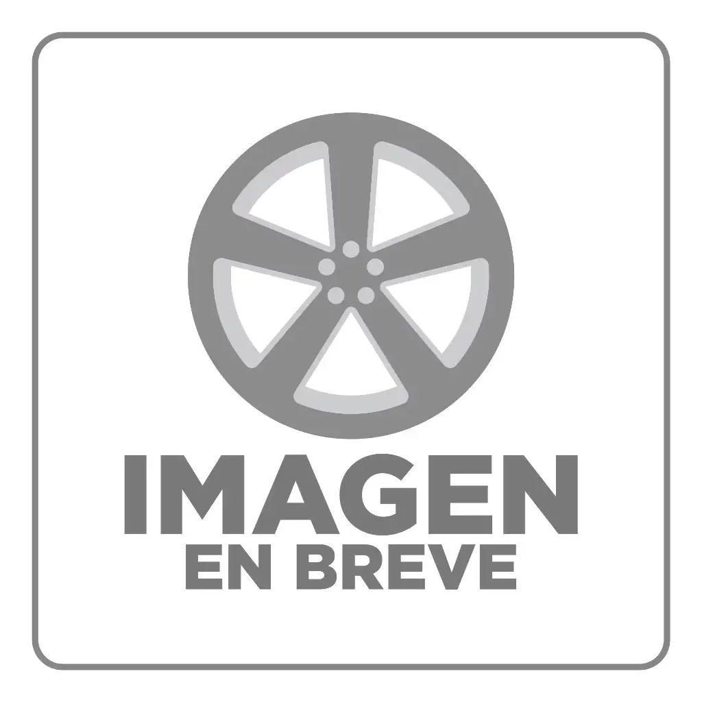 RIN 17X7.5 4-100/108 R1 SPORT QC112 BB SILVER MI CROME RIVETS ET30 CB73.1